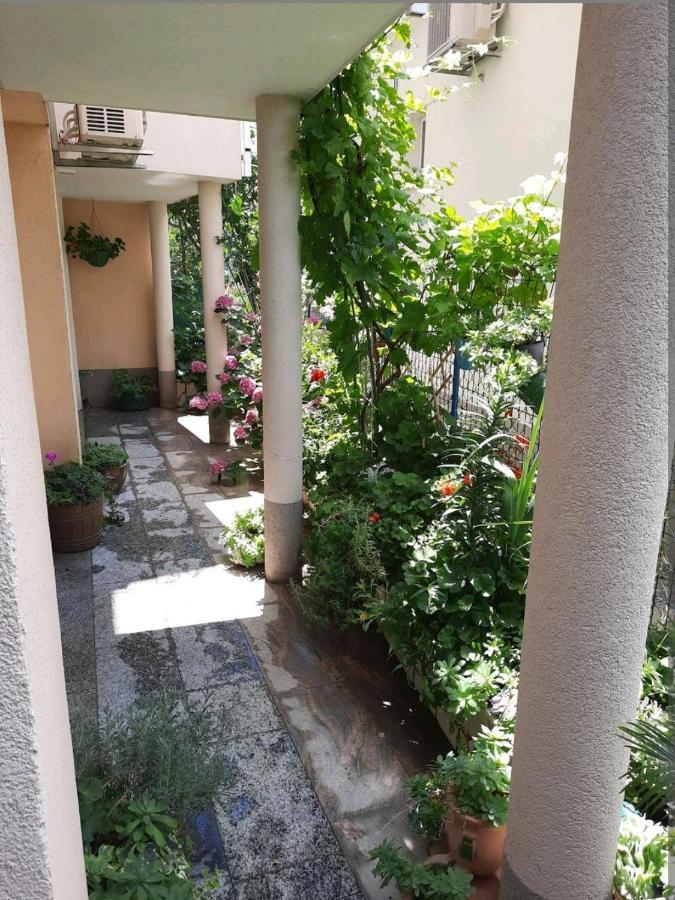 Hôtel Vila Doris à Baška Voda Extérieur photo
